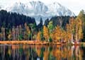 Autumn's Majesty
